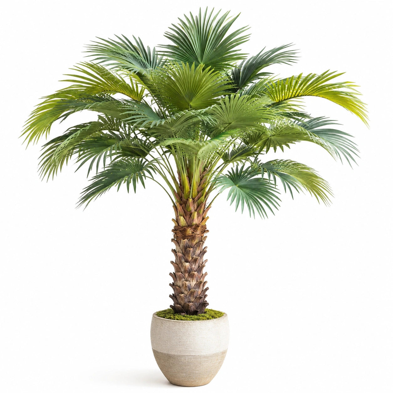 Palmier Artificiel en Pot 180 cm Vert