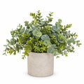 Plante d'Eucalyptus Artificielle avec Pot en Céramique Beige