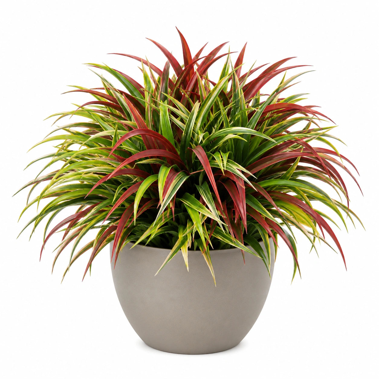 Plante Artificielle en Pot, Feuillage Vert et Rouge, Hauteur 50 cm