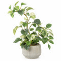 Philodendron artificiel en pot céramique, 40 cm, Vert/Blanc