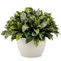 Plante Verte Artificielle en Pot Blanc pour Intérieur - 60 cm