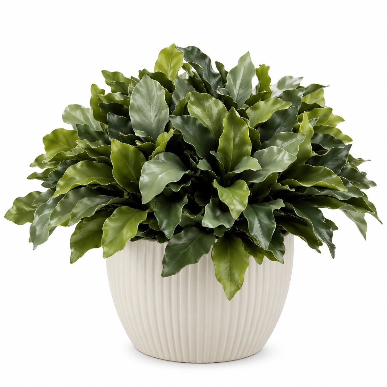 Plante Verte Artificielle en Pot Blanc pour Intérieur - 60 cm
