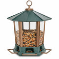 Mangeoire hexagonale pour oiseaux de jardin - Vert/Bronze